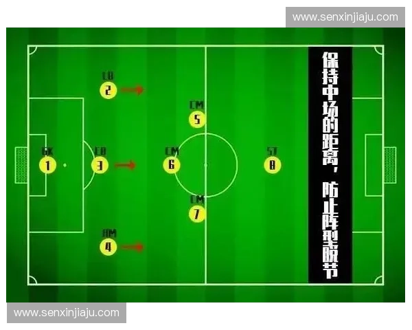 全面解析八人制足球比赛规则与实战战术要点综合详解应用指南大全